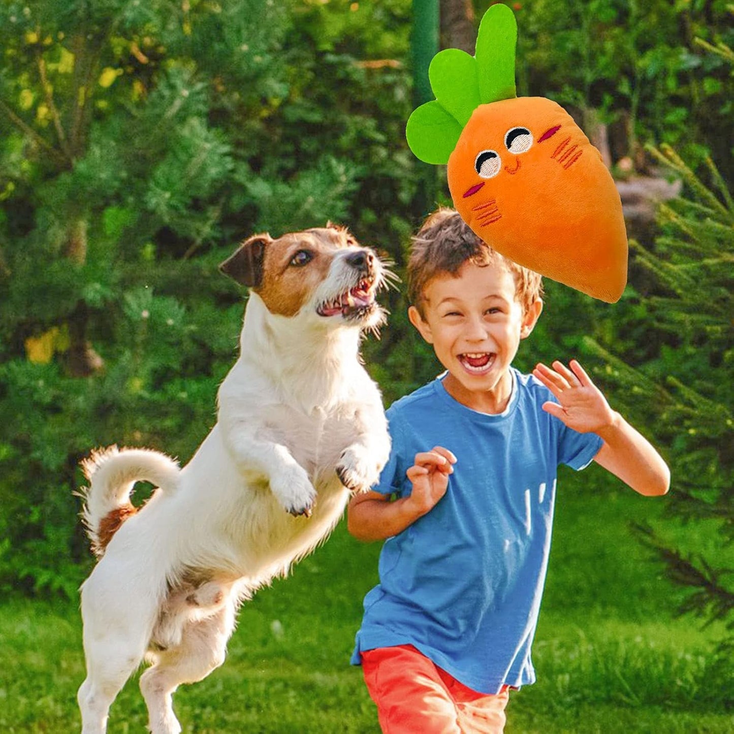 HappyPaws Toy Collectionâ˘