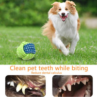 HappyPaws Toy Collection™