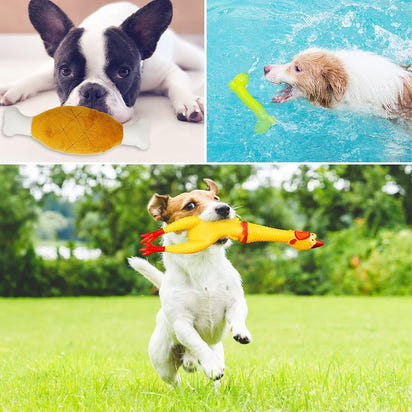 HappyPaws Toy Collection™