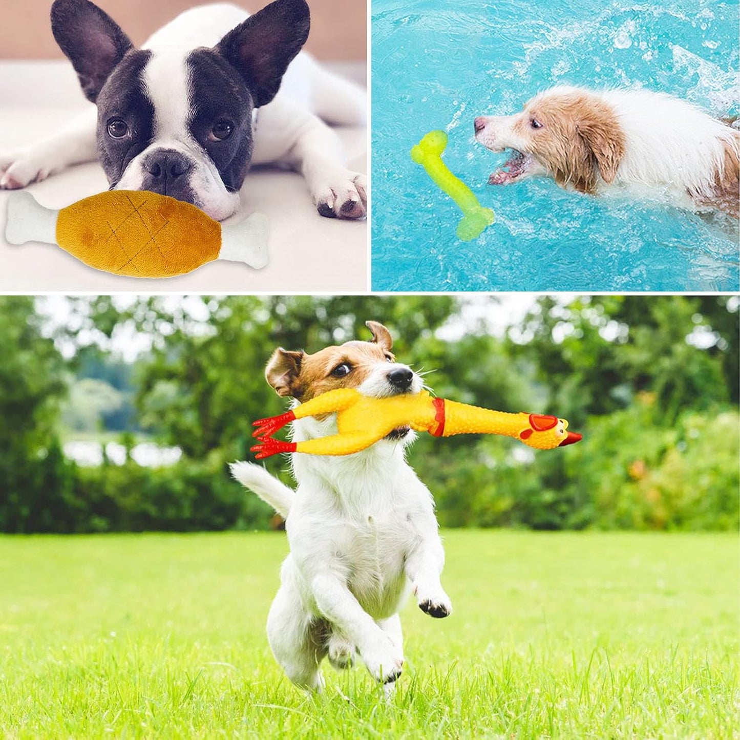 HappyPaws Toy Collection™