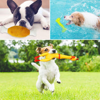 HappyPaws Toy Collection™