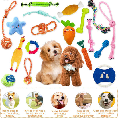 HappyPaws Toy Collection™